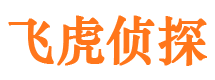 合浦市侦探调查公司